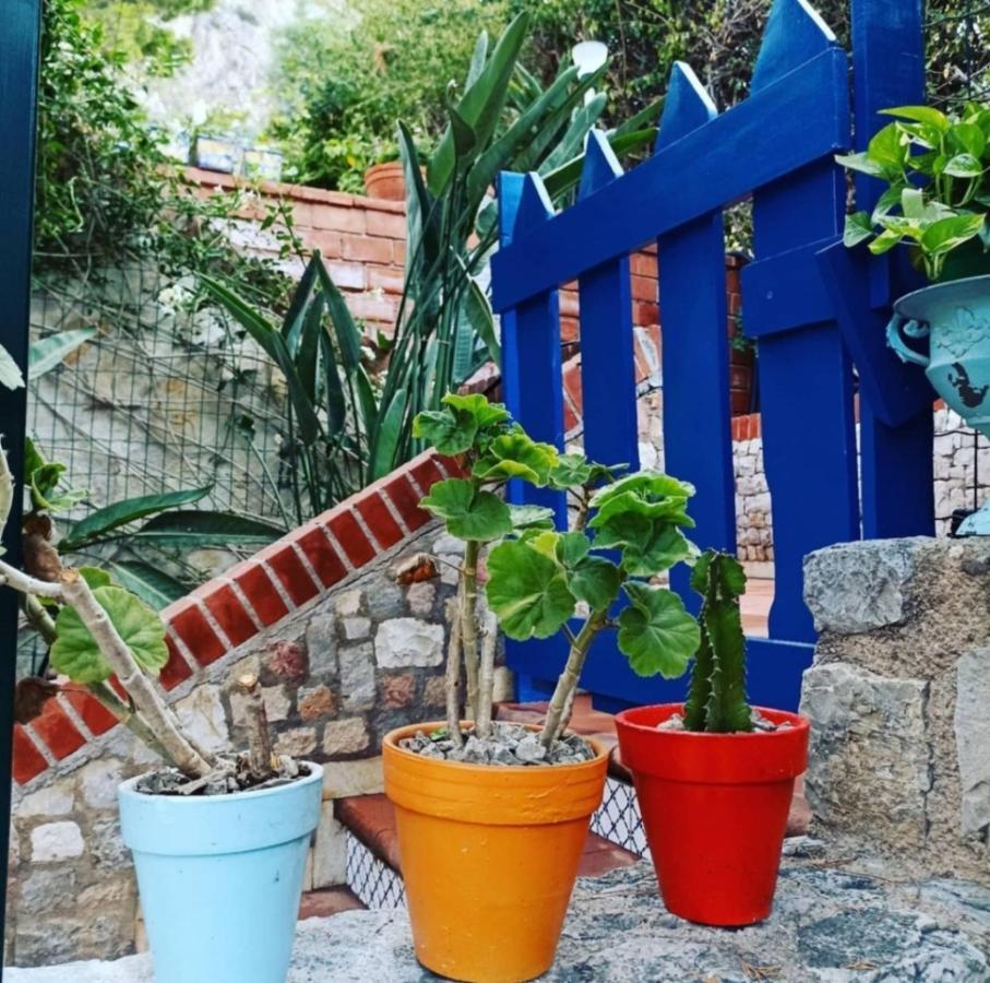 Vfh Villa Flavia Eco B&B - 50 Metri Dal Mare Санта-Флавия Экстерьер фото